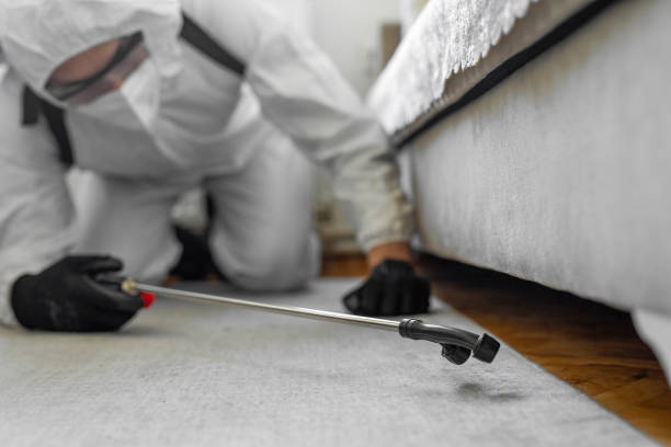 Professional Bed Bug Control technician working in Priest River, ID