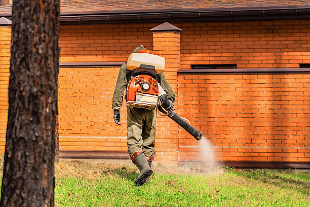 Trusted Ant Control service in Priest River, ID - Nex Pest Control